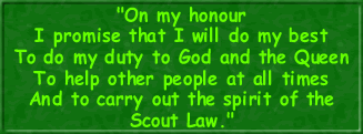 The Scout Promise