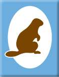 Beaver Colony Colours (Blue) and Symbol