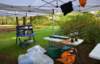 dsc_2568_small.jpg